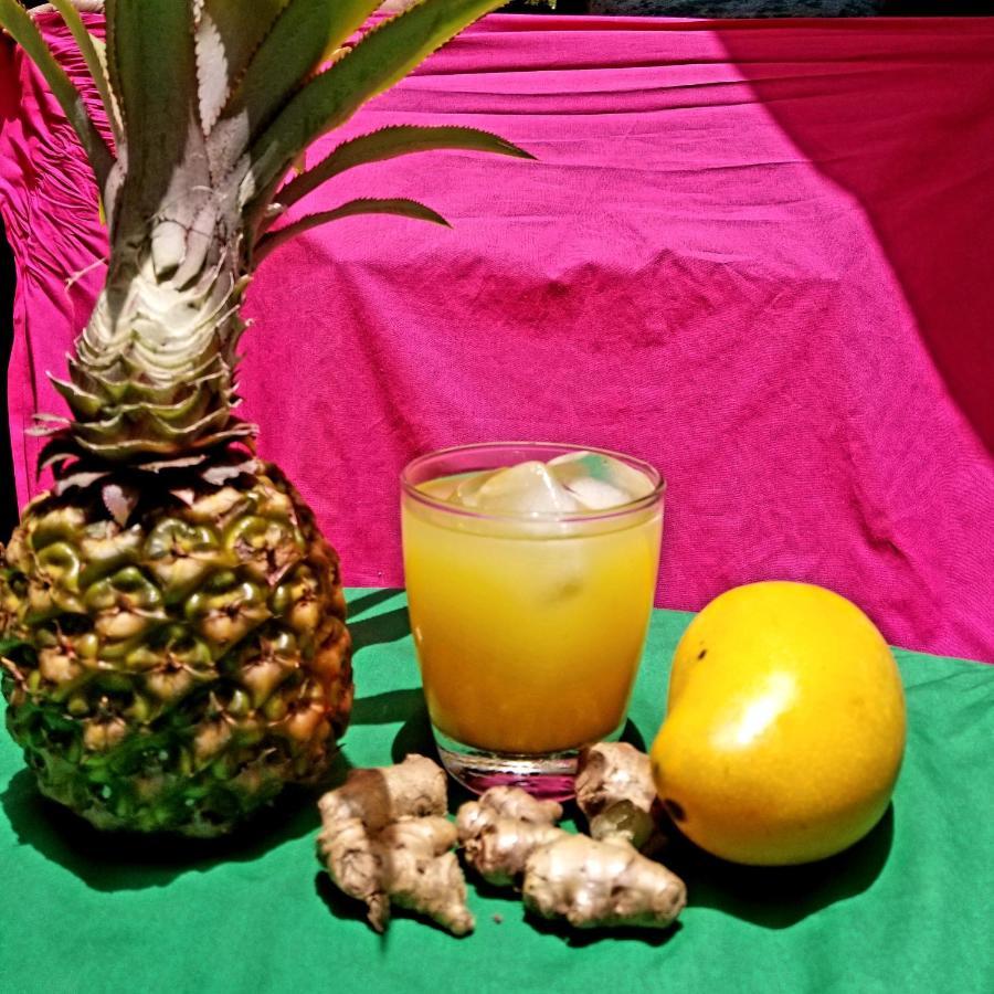 Вилла Zimbali Culinary Retreats Негрил Экстерьер фото