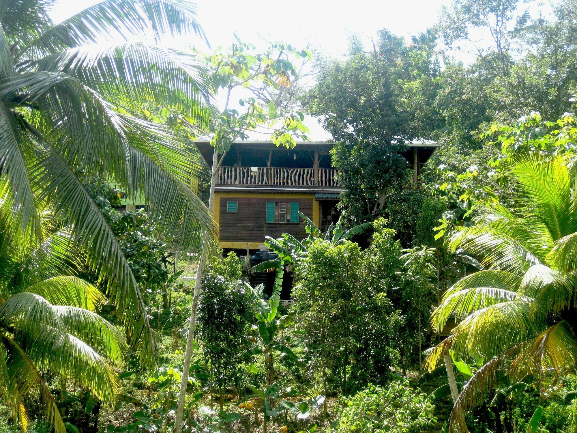 Вилла Zimbali Culinary Retreats Негрил Экстерьер фото